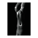 Erotica Breast Glass Wall Art (25.6"H x 17.7"W)