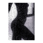 Erotica Shower Glass Wall Art (25.6"H x 17.7"W)