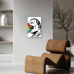 Singing Rainbows Print On Acrylic Glass by  Butcher Billy