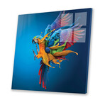 Flying Colours Print On Acrylic Glass by  Sulaiman Almawash