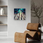 Nordic Lights Print On Acrylic Glass by  Riza Peker