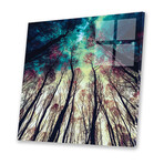 Nordic Lights Print On Acrylic Glass by  Riza Peker