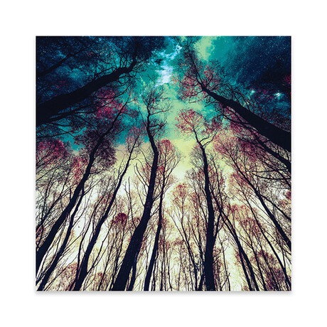 Nordic Lights Print On Acrylic Glass by  Riza Peker