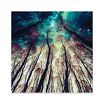 Nordic Lights Print On Acrylic Glass by  Riza Peker