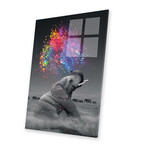 Elephant - Color Explosion Print On Acrylic Glass by  Soaring Anchor Designs
