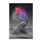 Elephant - Color Explosion Print On Acrylic Glass by  Soaring Anchor Designs