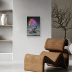 Elephant - Color Explosion Print On Acrylic Glass by  Soaring Anchor Designs