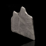 Muonionalusta Meteorite Slice // 4.0 Grams