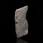 Muonionalusta Meteorite Slice // 4.6 Grams