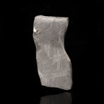 Muonionalusta Meteorite Slice // 4.6 Grams
