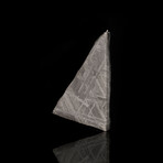 Muonionalusta Meteorite Slice // 7.2 Grams