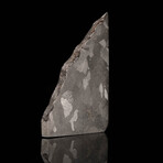Soledade Meteorite Slice // 57.4 Grams