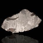 Soledade Meteorite Slice // 389 Grams