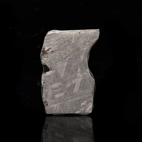 Muonionalusta Meteorite Slice // 4.6 Grams