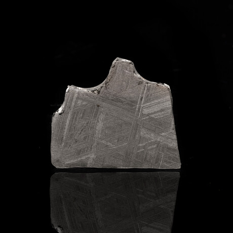 Muonionalusta Meteorite Slice // 4.0 Grams