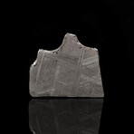 Muonionalusta Meteorite Slice // 4.0 Grams