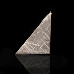 Muonionalusta Meteorite Slice // 7.2 Grams