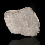 Muonionalusta Meteorite Slice // 362 Grams