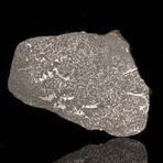 Ras Tassedant Meteorite Slice // 173 Grams