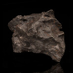 Campo del Cielo Meteorite on Custom Stand // 4.61 Lb.