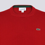 Crew Neck Sweater // Red (M)