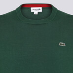 Crew Neck Sweater // Green (L)