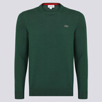 Crew Neck Sweater // Green (2XL)