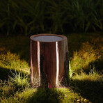 Outdoor Illuminated Stump