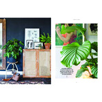 Urban Jungle // Living and Styling with Plants