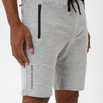 Mx44 Shorts // Gray (S)