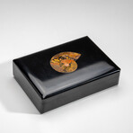 Genuine Black Onyx With Ammonite Jewelry Box // 1.5 Lb