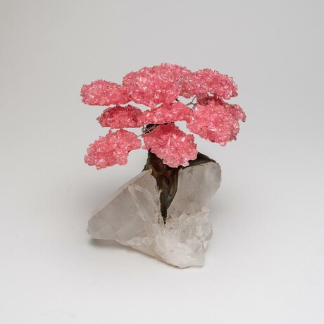 Large Genuine Rose Quartz Clustered Gemstone Tree on Quartz Crystal Matrix // The Tree of Light