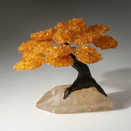 Large Citrine Clustered Gemstone Tree on Clear Quartz Matrix // The Tree of Prosperity // 3.5lb