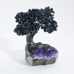 Medium Black Tourmaline Clustered Gemstone Tree on Amethyst Quartz Matrix // The Cleansing Tree