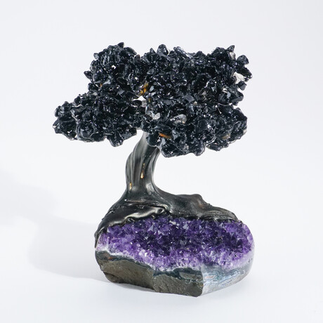 Medium Black Tourmaline Clustered Gemstone Tree on Amethyst Quartz Matrix // The Cleansing Tree