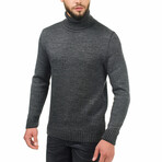 Wool Turtleneck Sweater // Dark Gray (L)