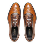 Oxford Sneaker // Croc Tan & Brown (US: 14)