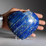 Genuine Polished Lapis Lazuli Heart with acrylic stand