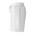 Criterion 2.0 Lifestyle Performance Workout Short // Light Gray (Small)