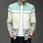 Blocked Zip-up Sweater // Light Green + Cream + Light Gray (XS)