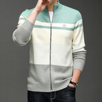 Blocked Zip-up Sweater // Light Green + Cream + Light Gray (XS)