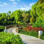 1 Bedroom Package // Multi-night Stay // 2 Adults + 2 Kids (5 Nights)