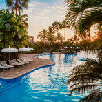 Studio Package // Multi-night Stay // 2 Adults + 2 Kids (5 Nights)