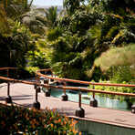 Studio Package // Multi-night Stay // 2 Adults + 2 Kids (5 Nights)