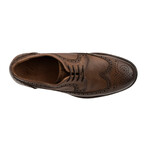 Ellis Shoe // Brown (US: 9)