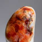 Genuine Polished Carnelian Freeform // 11.5 lb