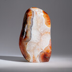 Genuine Polished Carnelian Freeform // 11.5 lb