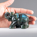 Genuine Polished Labradorite Elephant // 0.5 lb