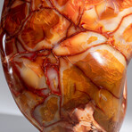 Genuine Polished Carnelian Freeform // 17.5 lb