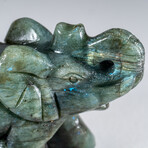 Genuine Polished Labradorite Elephant // 0.5 lb